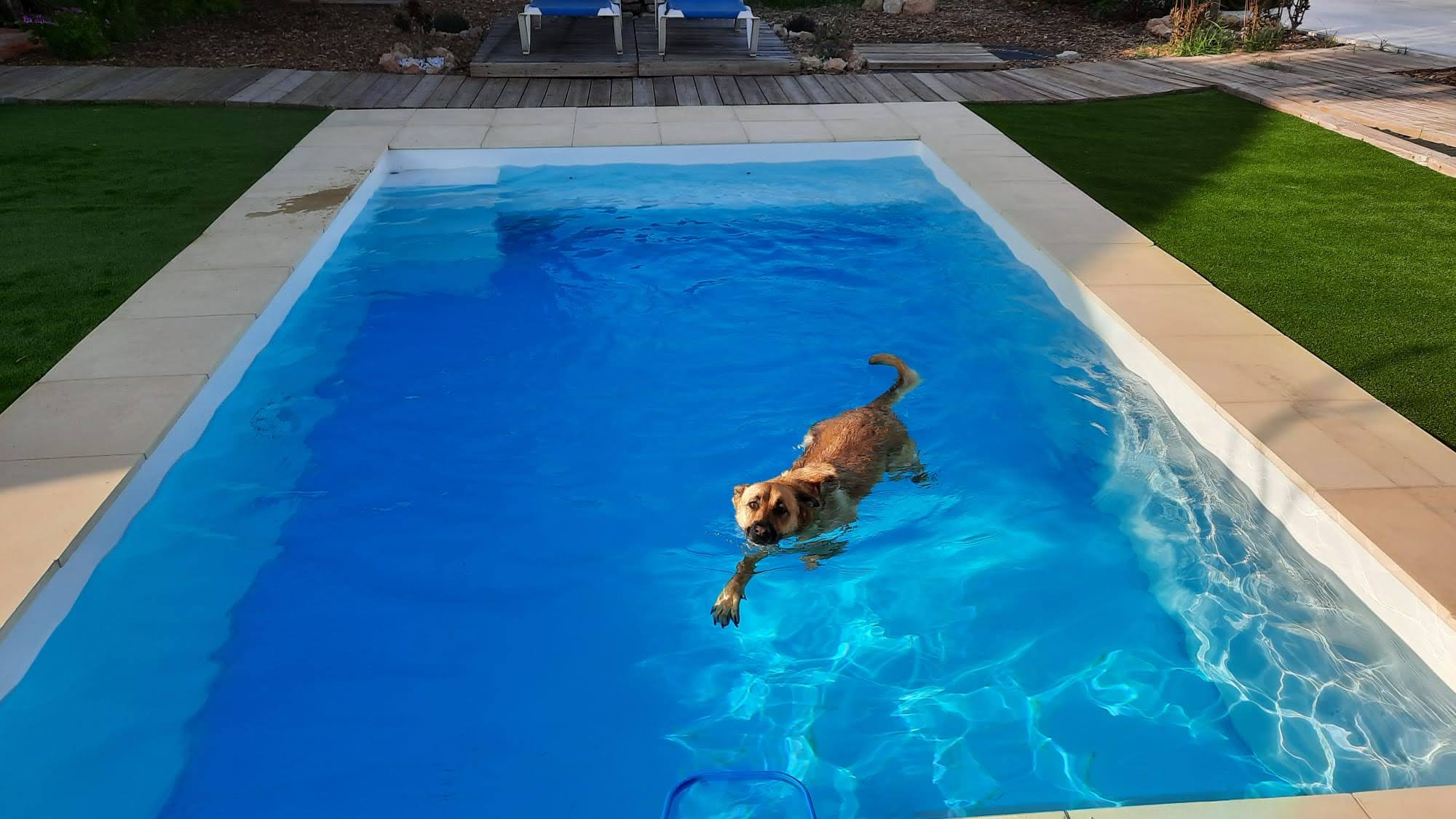 Piscinas de polipropileno 